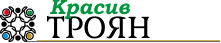 Към онлайн издание Красив Троян
